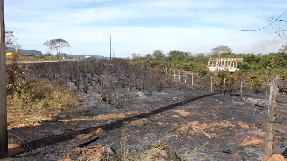 A rodovia não precisou ser interditada. Também não foi apontado até o momento se o incêndio foi criminoso, mas será investigado.